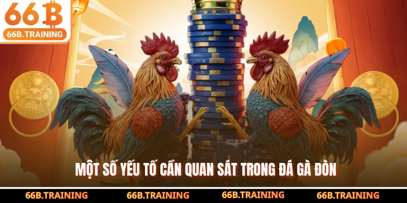 Một số yếu tố cần quan sát trong đá gà đòn