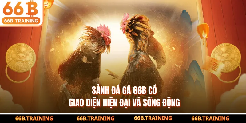 Sảnh đá gà 66B có giao diện hiện đại và sống động